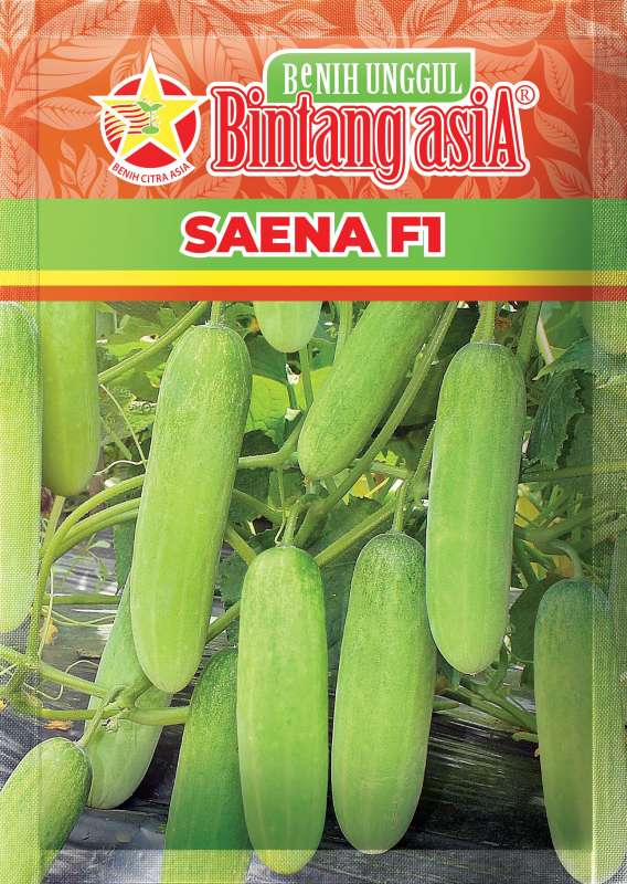 Saena F1